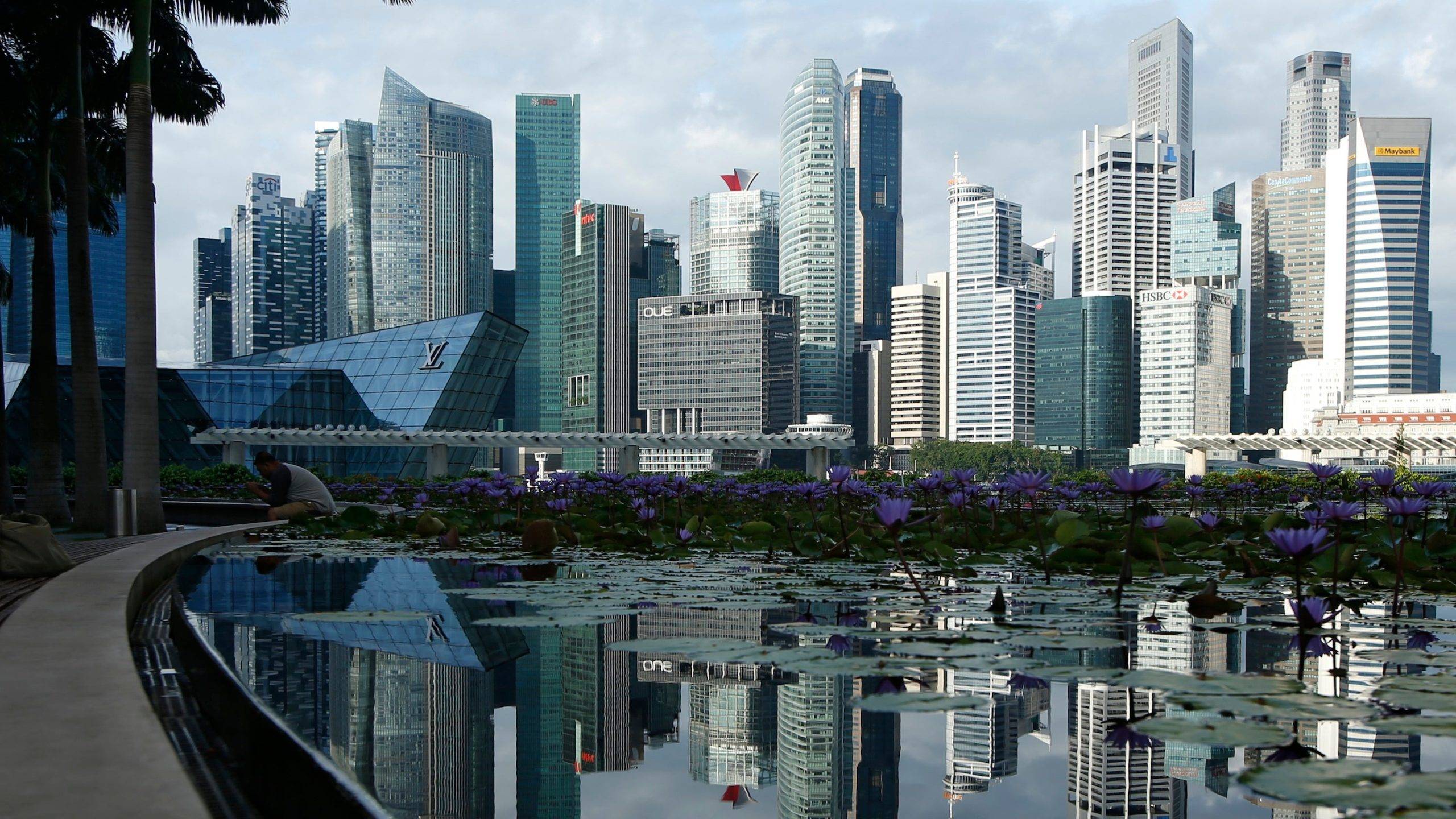 imgi_154_35ba708a8121298f5f1ac26ed94d3040 scaled